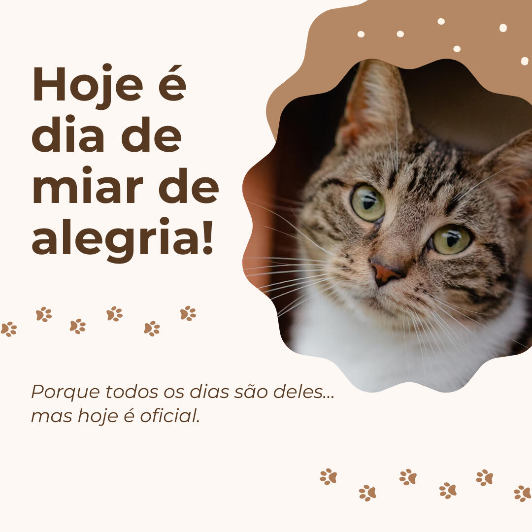 Conteúdo Redes Sociais | Ver mais...